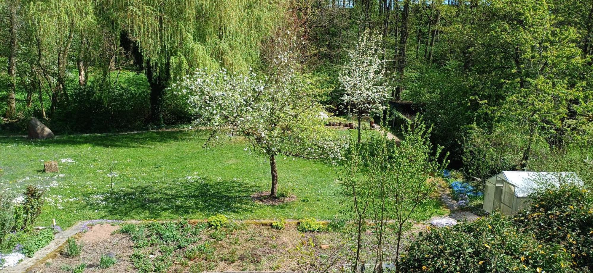 Wohnung In Medlitz Rattelsdorf Esterno foto